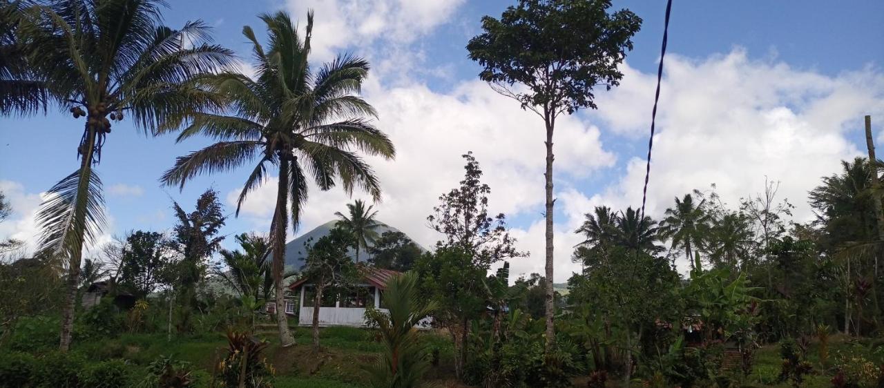Talaga Tomohon Home Stay And Fishing Pond Eksteriør bilde
