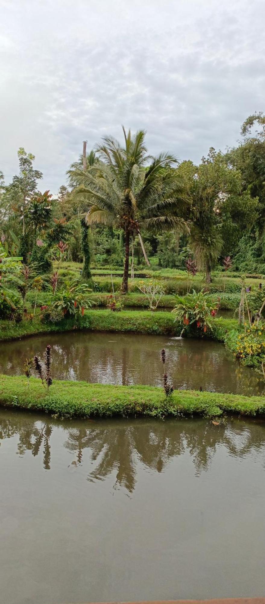 Talaga Tomohon Home Stay And Fishing Pond Eksteriør bilde