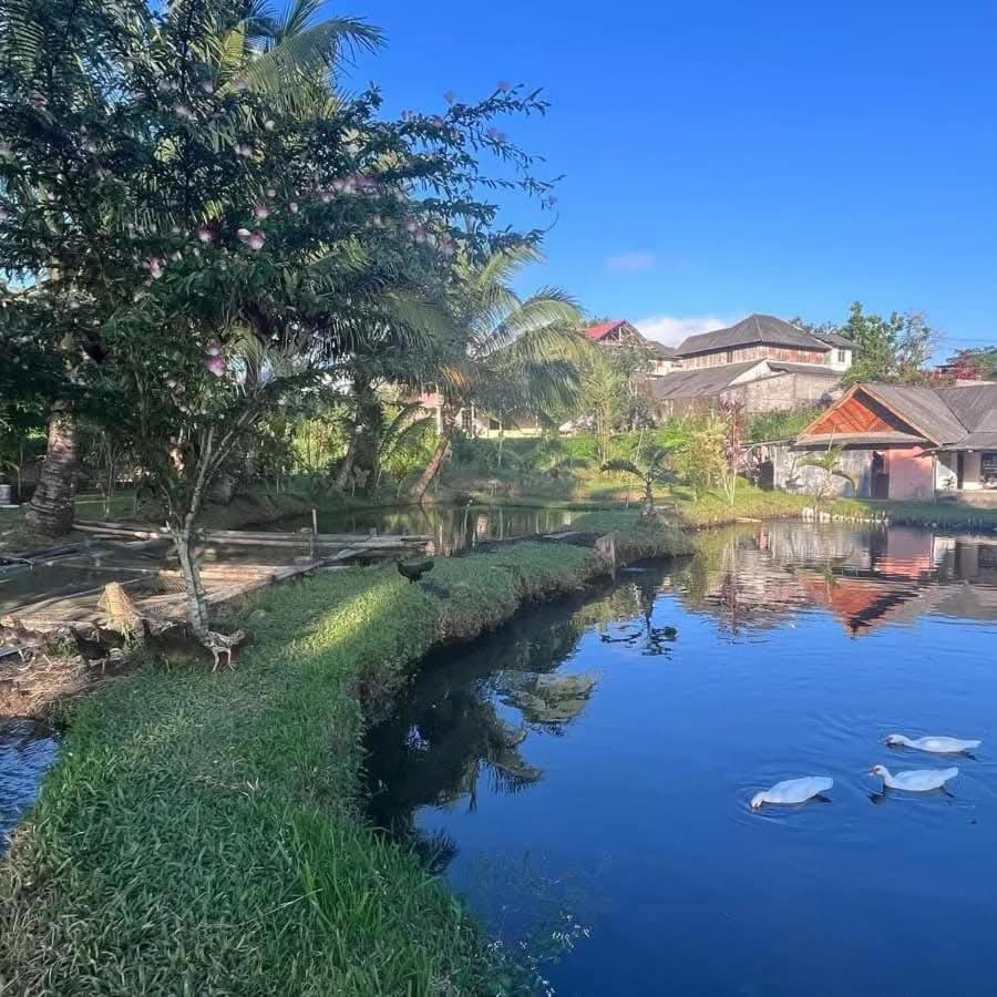 Talaga Tomohon Home Stay And Fishing Pond Eksteriør bilde