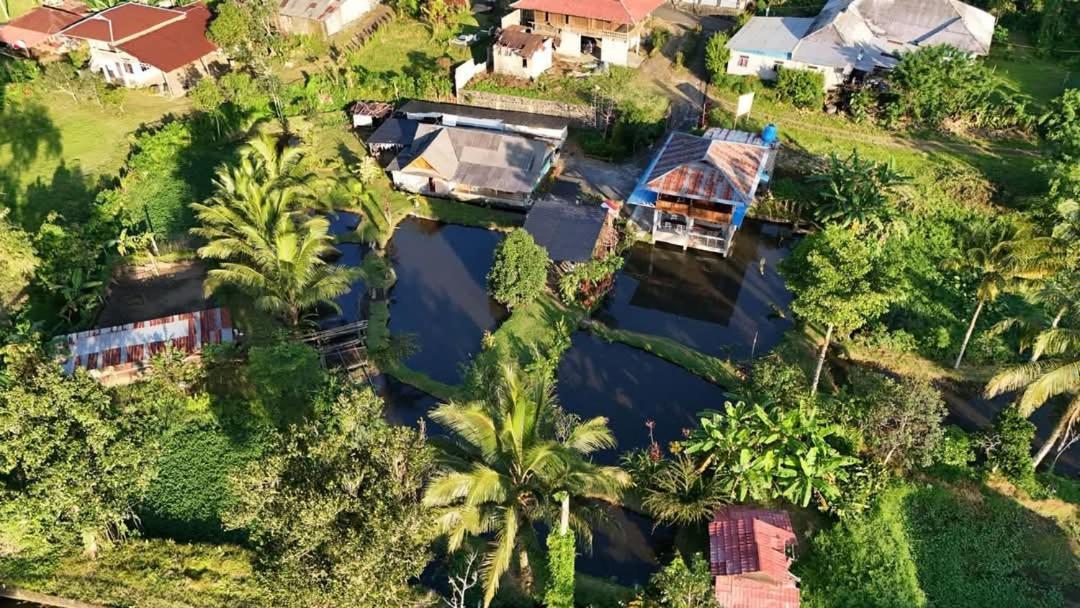 Talaga Tomohon Home Stay And Fishing Pond Eksteriør bilde
